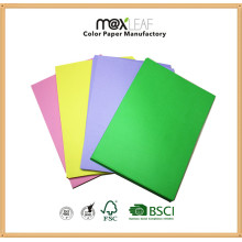 A4 Color Paper/ Writing Paper /Copy Paper Manufacturer